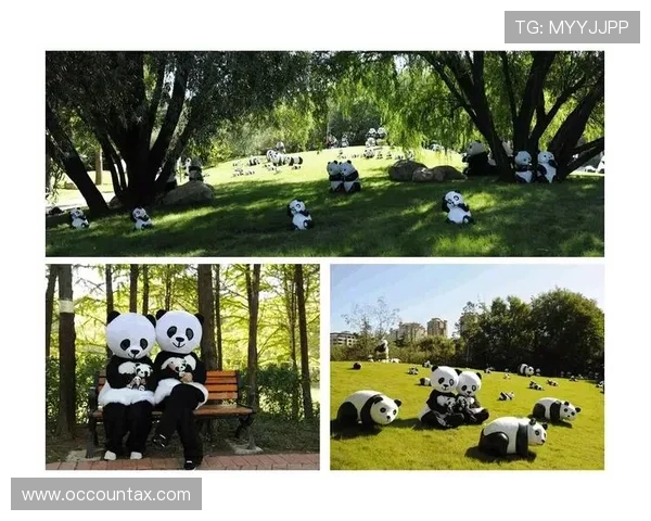 通过熊猫体育app轻松参与体育竞猜和互动社区体验丰富的体育娱乐新玩法